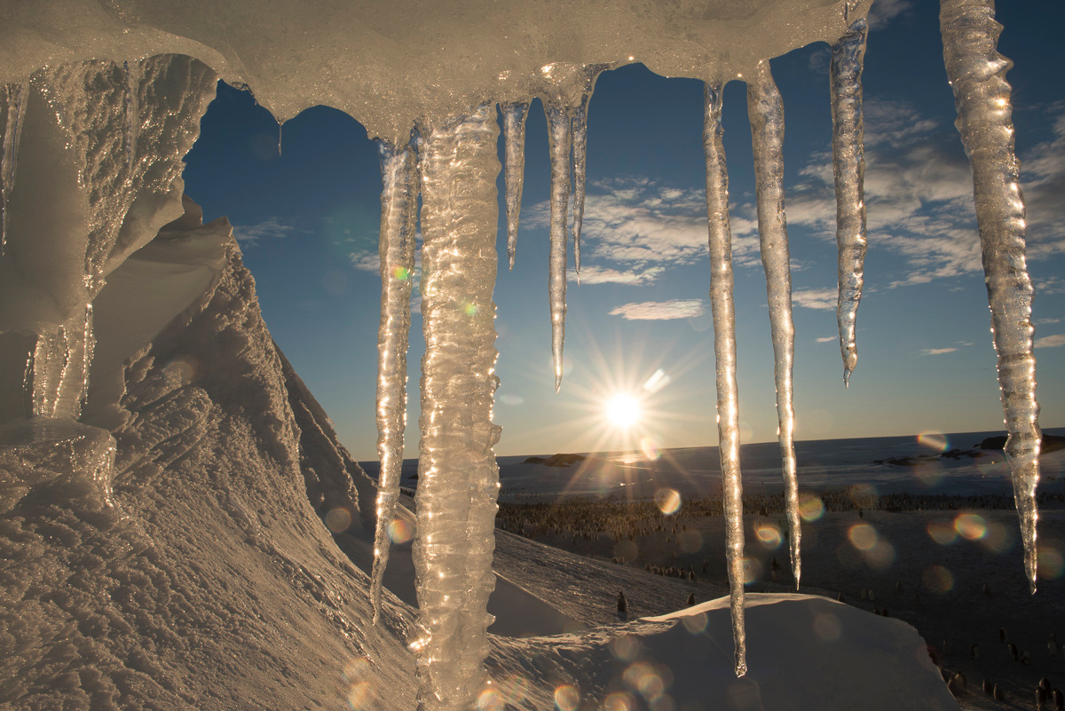 Stalactites en Antarctique