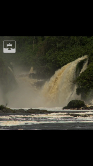 Et si on allait faire un petit tour au Gabon, dans le parc national d’Ivindo ? Pour sa forêt tropicale primaire très riche en biodiversité et ses majestueuses chutes d’eau, ce parc est classé au Patrimoine mondial de l’Unesco. On trouve un petit coin de paradis au cœur de ce parc : le baï de Langoué. Une grande clairière dans laquelle se retrouvent de nombreuses espèces animales, comme les gorilles et les éléphants de forêt. 

Rejoignez-nous dès maintenant pour reconstruire le lien entre la Nature et l’Homme : https://www.icebreaker-studios.com

Un petit bout du monde, par Maud Varaniac-Quard
Musique : Lost Tribe de David O'Brien

#gabon #foret #forettropicale #biodiversite #ivindo #animaux #faune #flore #gorille #gorilles #elephants
@ifgabon