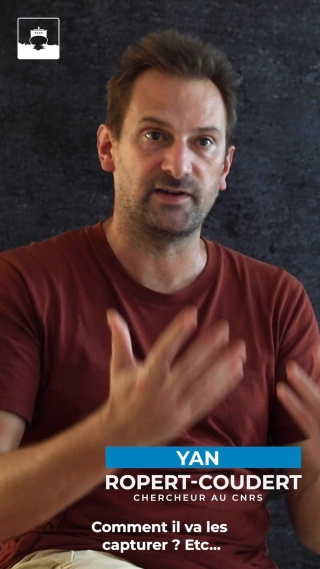 Euh... Le bio-logging, c'est quoi ? Et bien, c'est un peu demander à nos amis les animaux de se transformer en reporters scientifiques. Et ça marche... Yan Ropert-Coudert, chercheur au CNRS - Centre national de la recherche scientifique, nous en dit plus !

Comprendre et apprendre le changement climatique en e-learning avec l'Atelier des Partages sur https://ibk.im/atelier

Breaking Ice par L’Atelier des Partages
Réalisation et éditorial : Sarah Del Ben
Musique : Go Crazy de Matt Goodman & Matthew Bento

#biologging #climat #changementclimatique #icebreaker #antarctique #atelierdespartages #elearning #coursenligne #cours