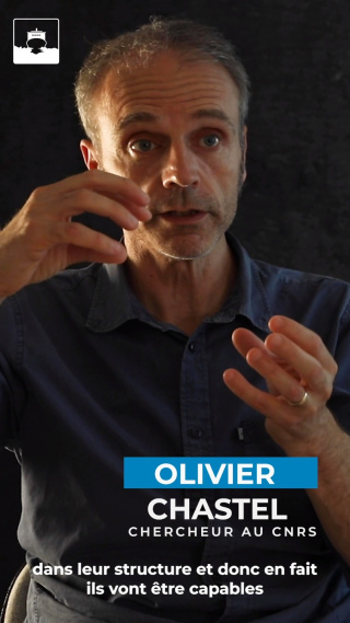 Bien que reculés, les pôles sont touchés par les polluants qui modifient les hormones des animaux. C’est ce qu’on appelle des perturbateurs endocriniens. Ils perturbent le fonctionnement normal de l’animal, notamment la reproduction. Les scientifiques constatent par exemple que les oiseaux qui ne se reproduisent pas présentent des concentrations de mercure plus importantes que ceux qui se reproduisent. Olivier Chastel, chercheur au CNRS, déroule les conséquences de ces polluants sur les espèces.

Vous voulez en savoir plus sur le changement climatique ? Rejoignez-nous sur l' #AtelierDesPartages : https://ibk.im/atelier

Breaking Ice par L’Atelier des Partages
Réalisation et éditorial : Sarah Del Ben
Musique : Go Crazy de Matt Goodman & Matthew Bento